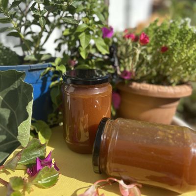 850 Gr Nektari Özü