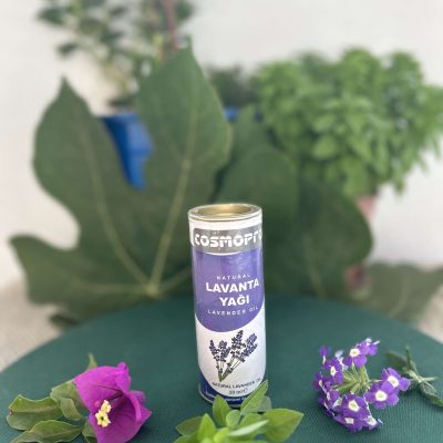 20 Ml Lavanta Yağı