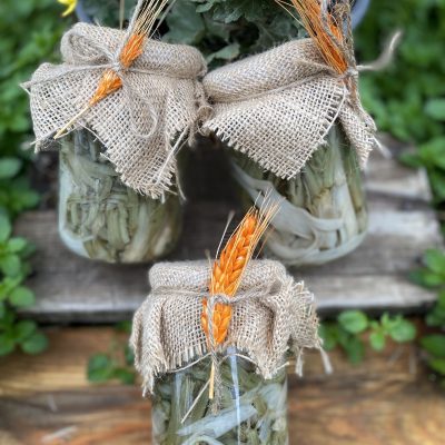 660 CC Kavanozda Şevketi Bostan