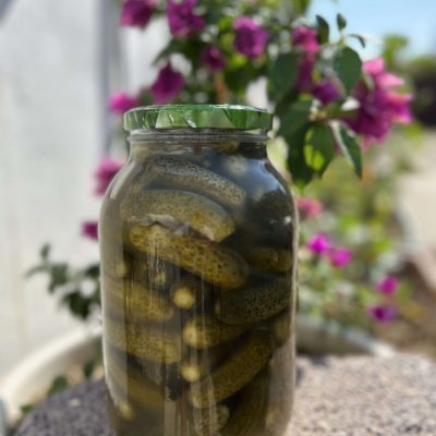 3 Lt Kornişon Turşu