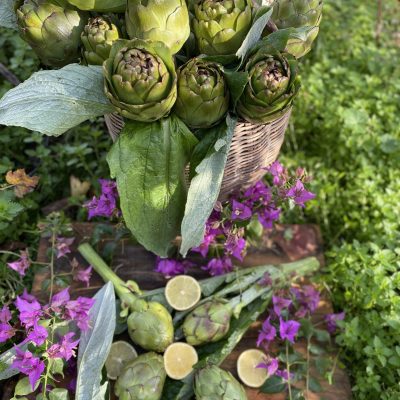 Dalından Kalp Enginar